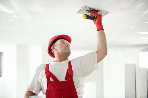 Environmental Consulting for Mold Prevention in Rolling Hills, CA